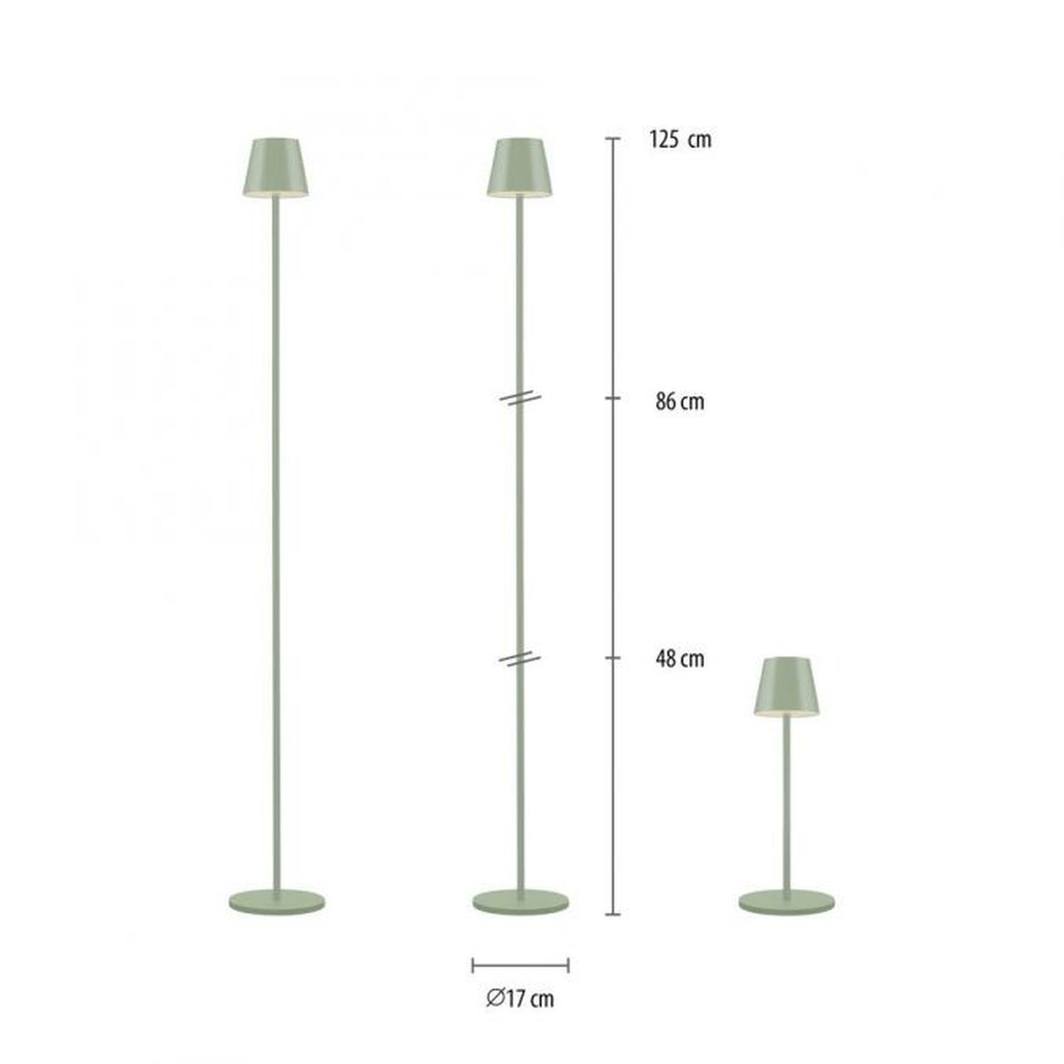 Lampe, Lampenschirm