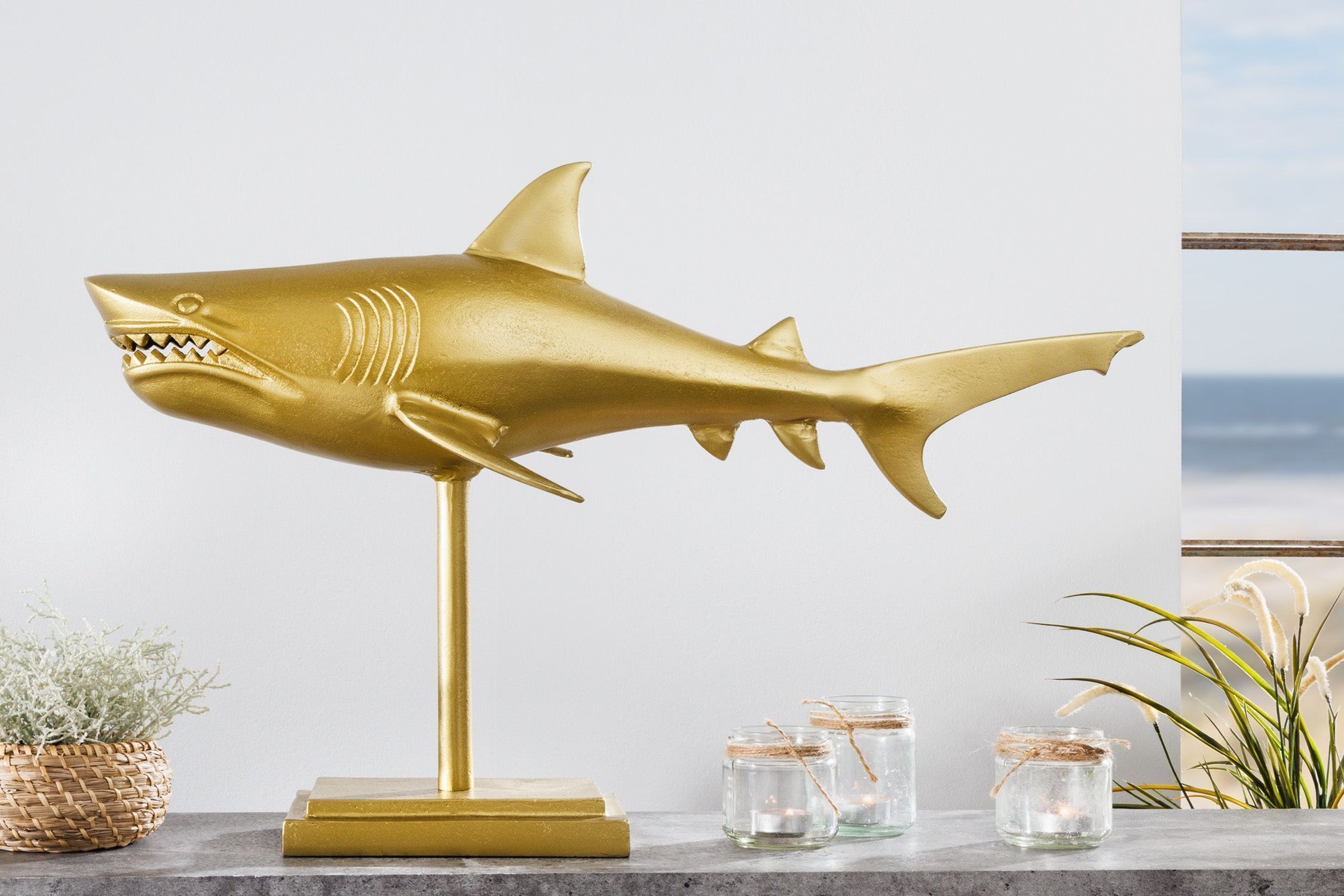 Tier, Fische, Leben im Meer, Hai, Glas