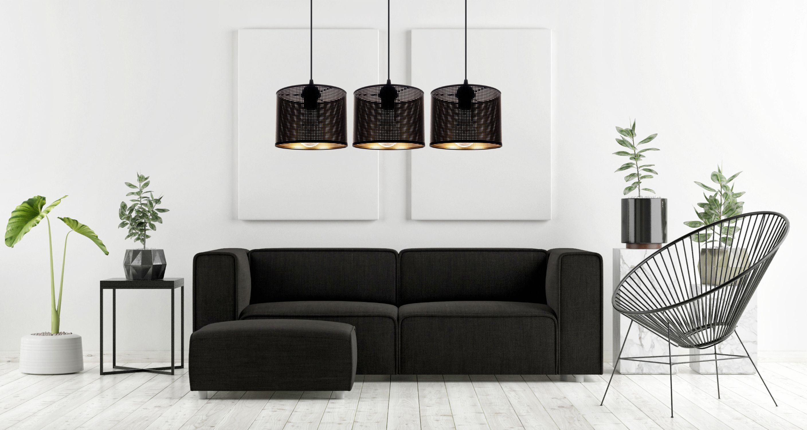 Pflanze, Pflanze im Topf, Wohnzimmer, Pflanzgefäß, Innenarchitektur