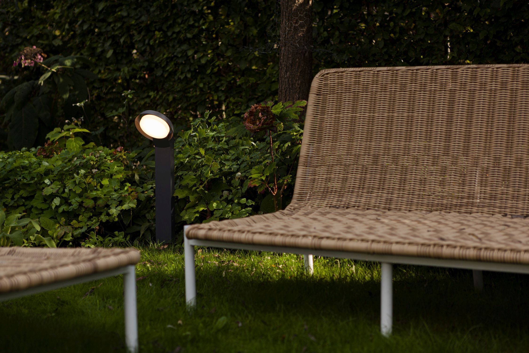 Beleuchtung, Couch, Mobiliar, Bank, Gras