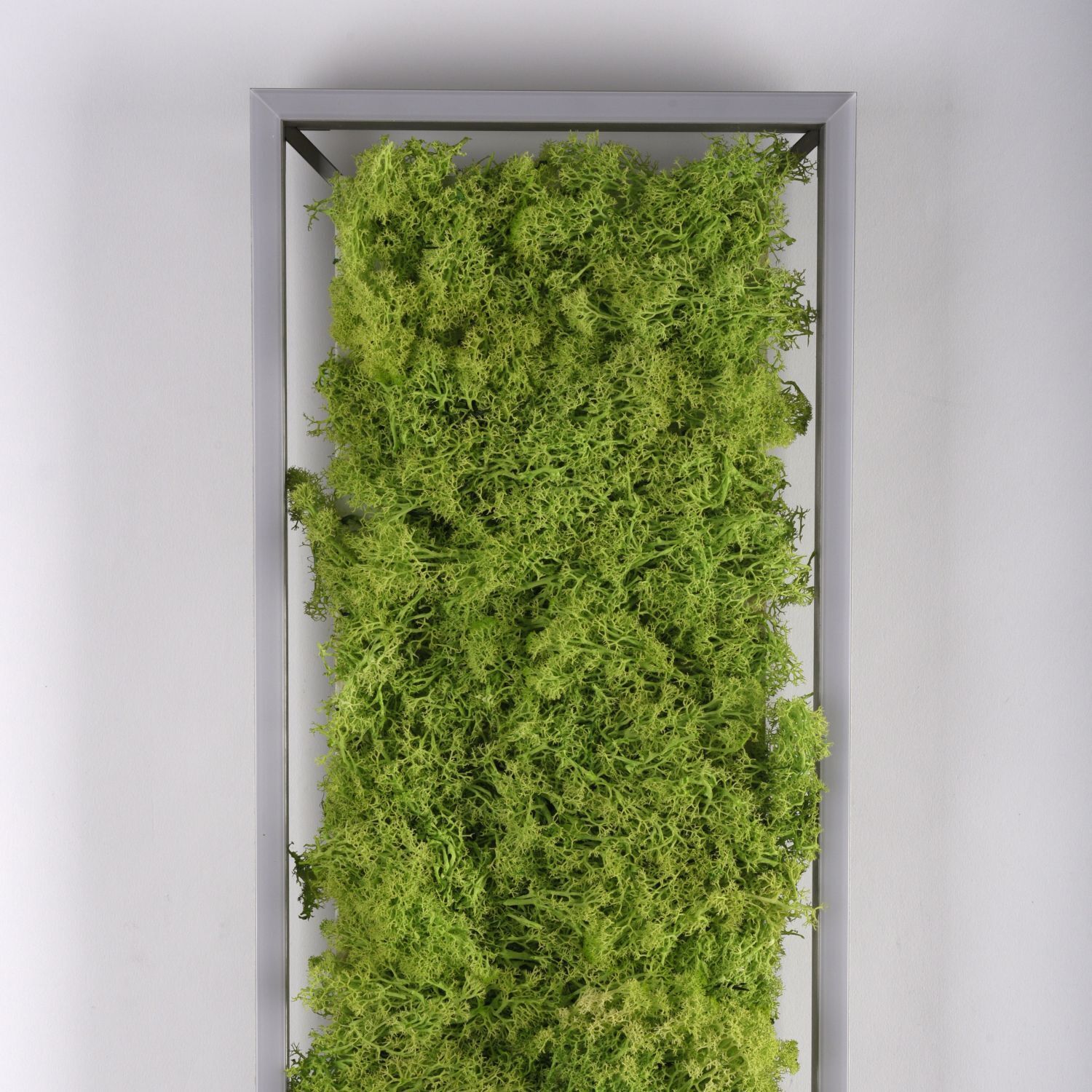 LED Deckenleuchte Moos L:100 cm 3000 K 3550 lm aus Moos