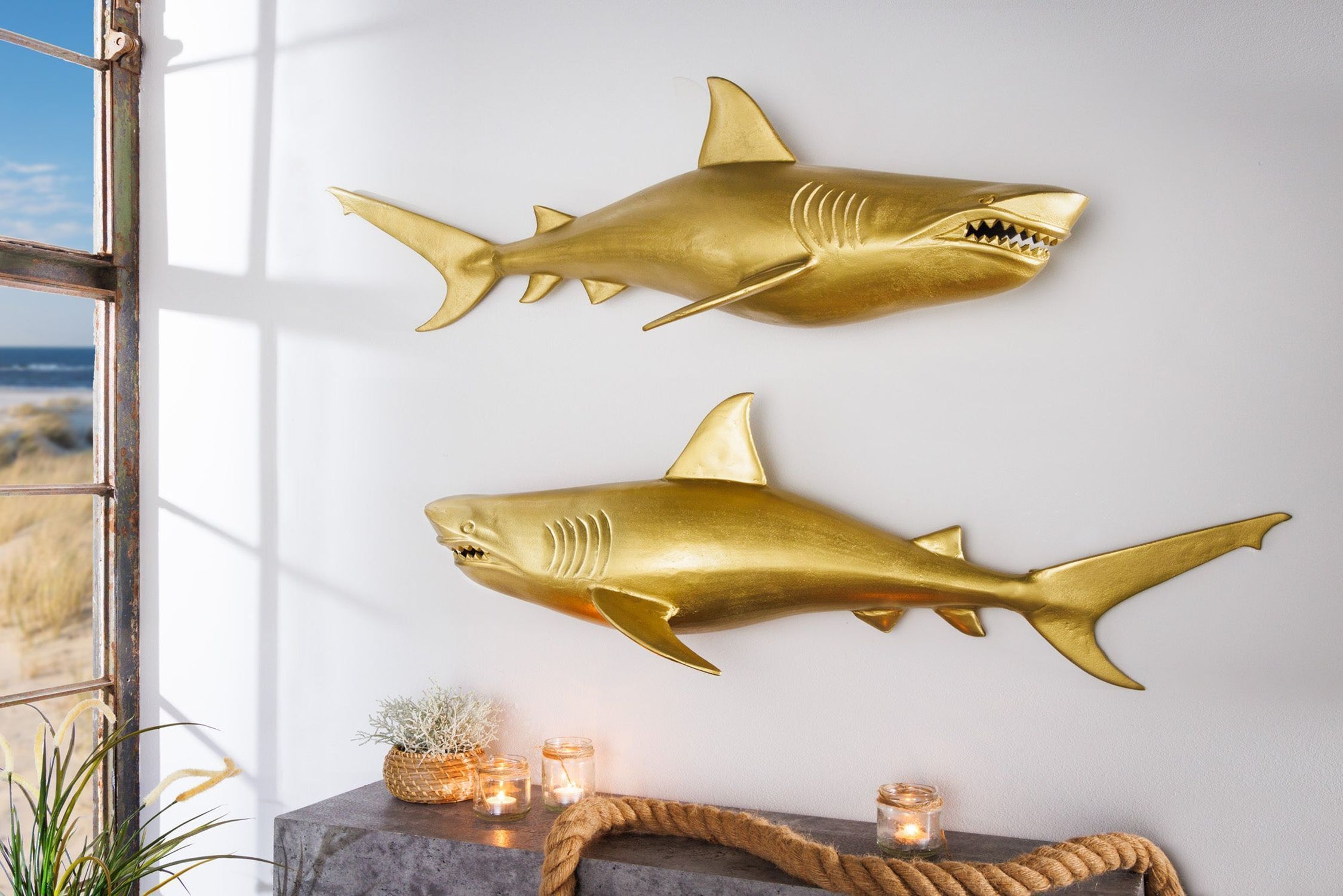 Tier, Fische, Leben im Meer, Hai