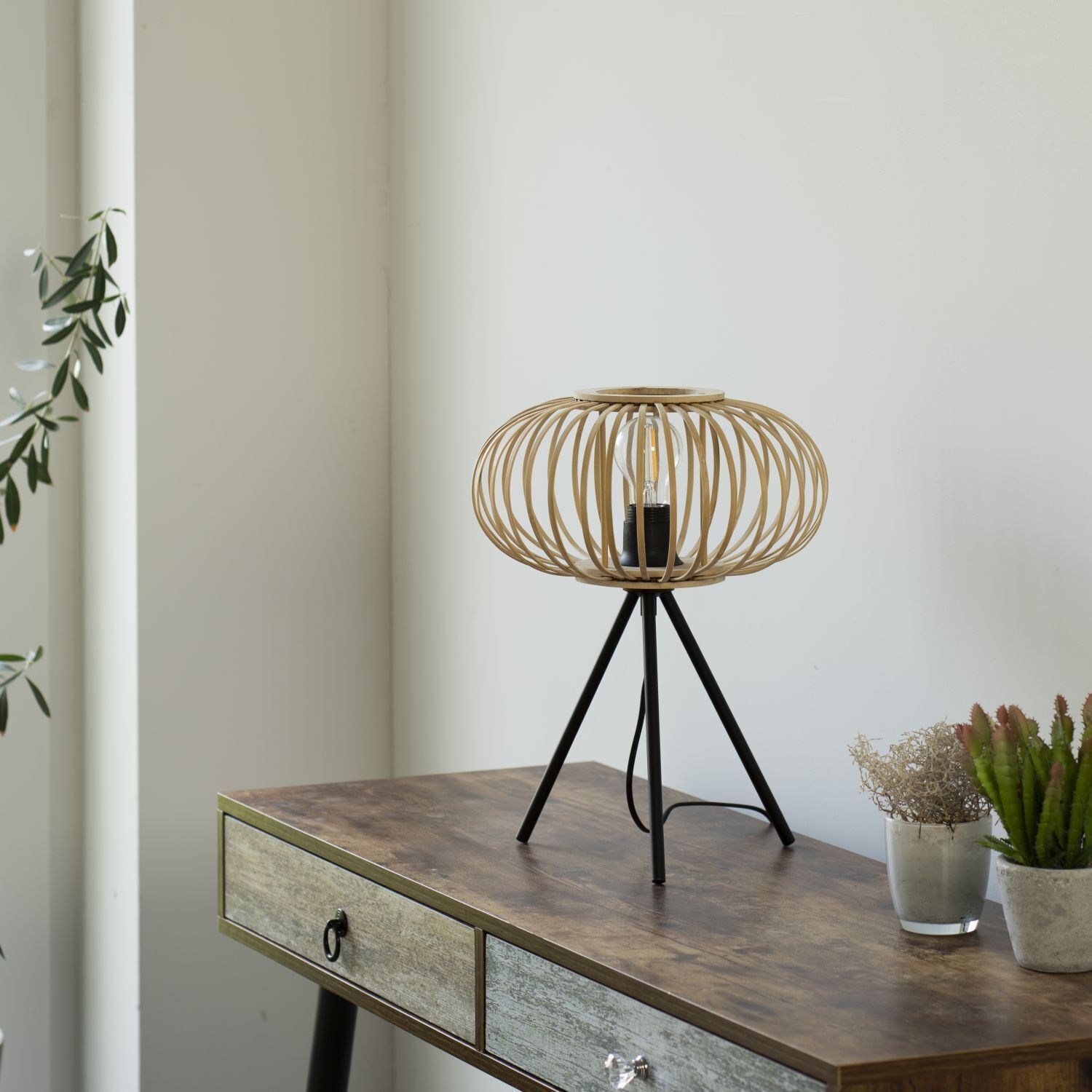 Lampe, Mobiliar, Tabelle, Pflanze