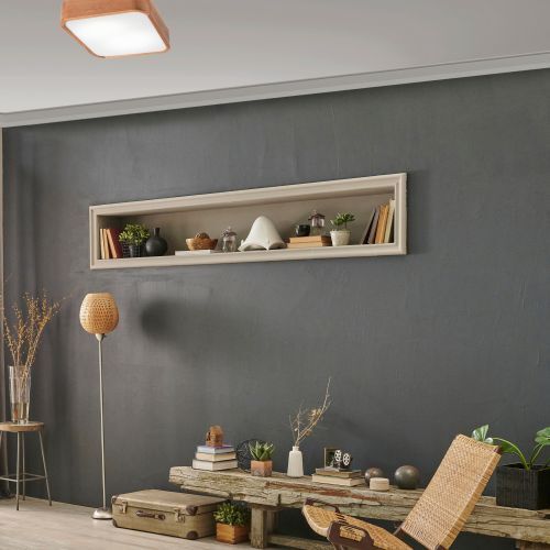 Innenarchitektur, Pflanze, Lampe, Stuhl, Mauer