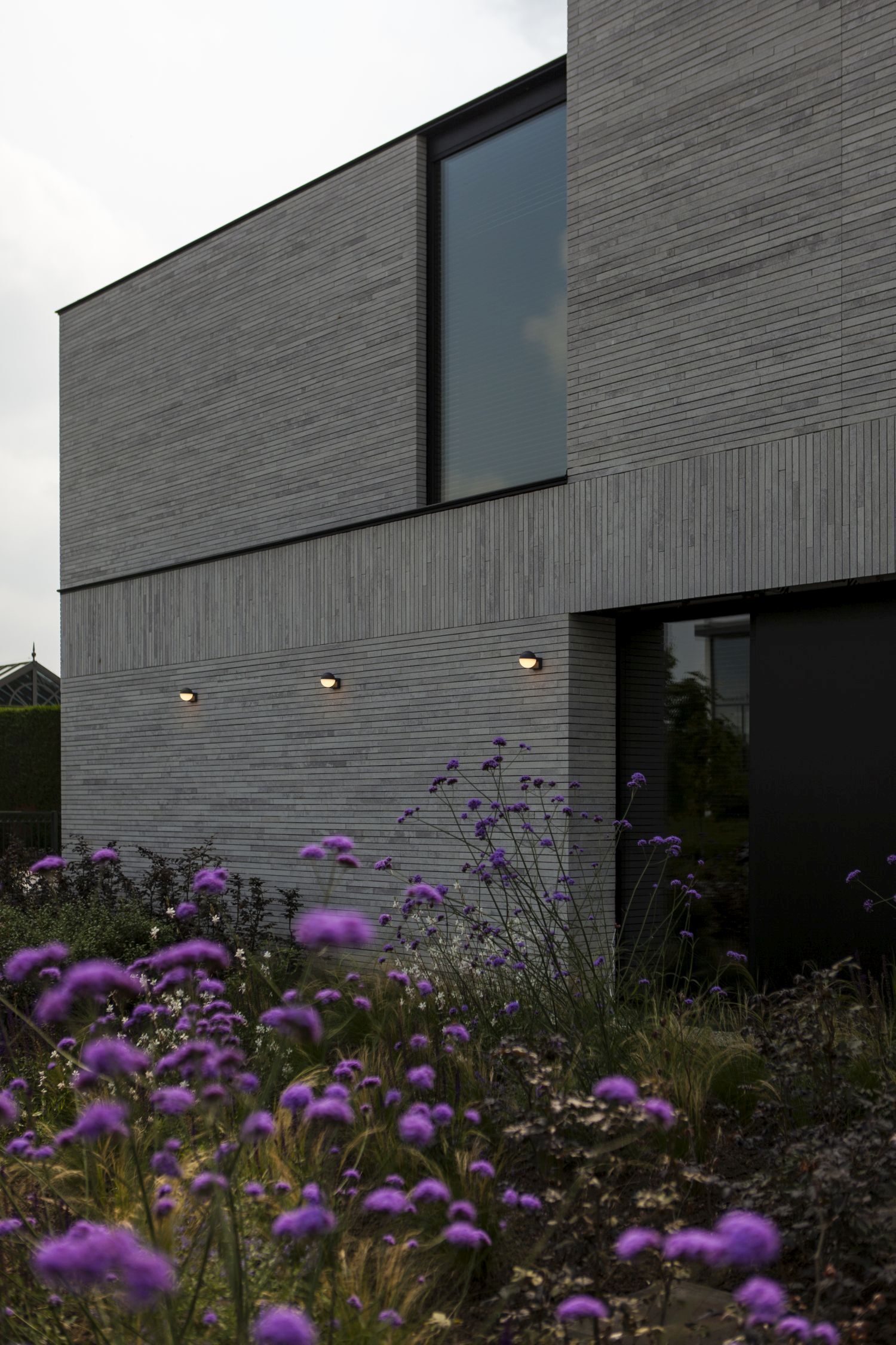 Purpur, Innenarchitektur, Blume, Geranie, Lampe
