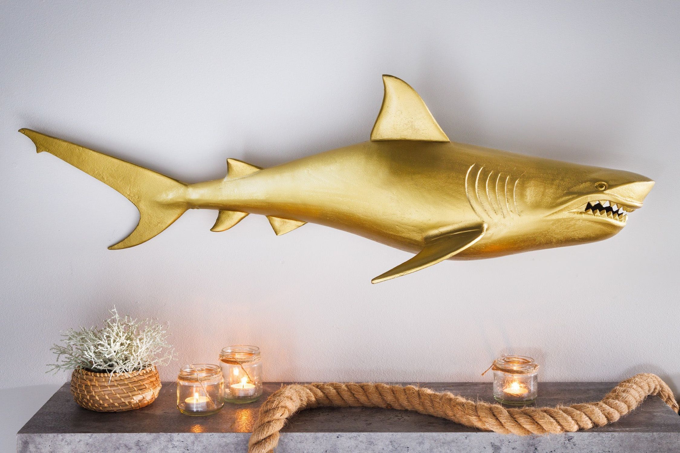 Tier, Leben im Meer, Fische, Hai