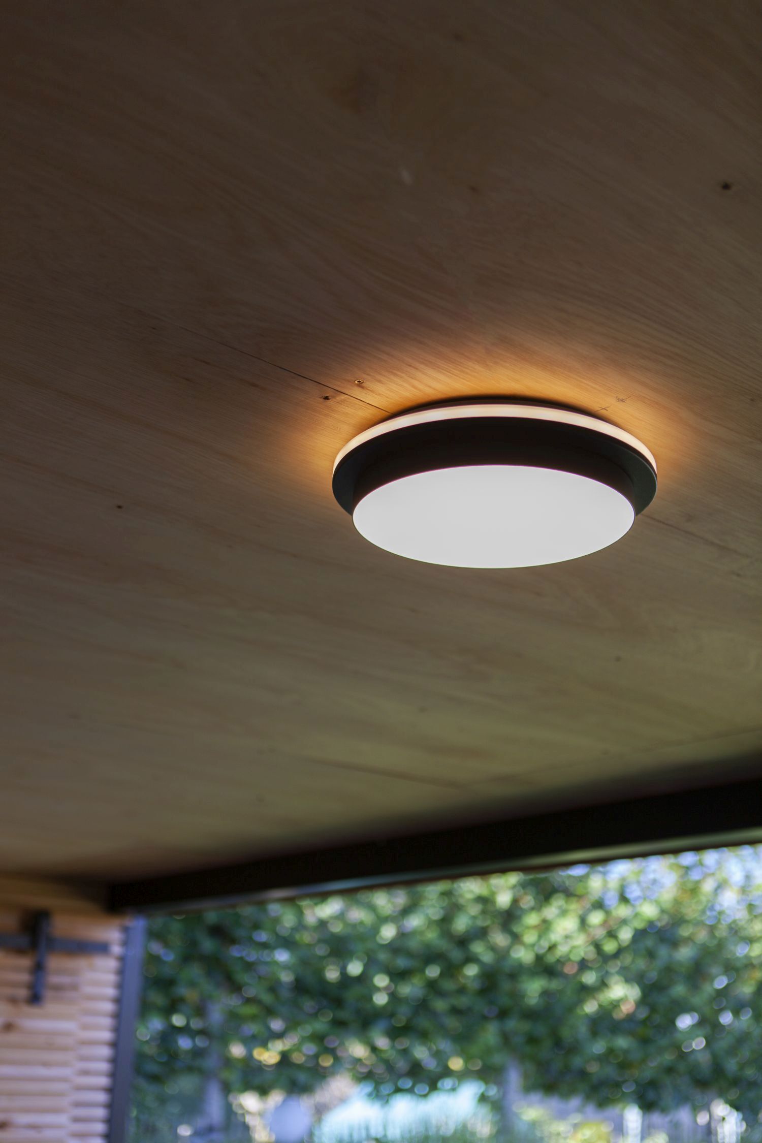 LED Außenwandlampe Schwarz IP54 rund Ø30 cm 3000/4000 K Deckenleuchte, Leuchte