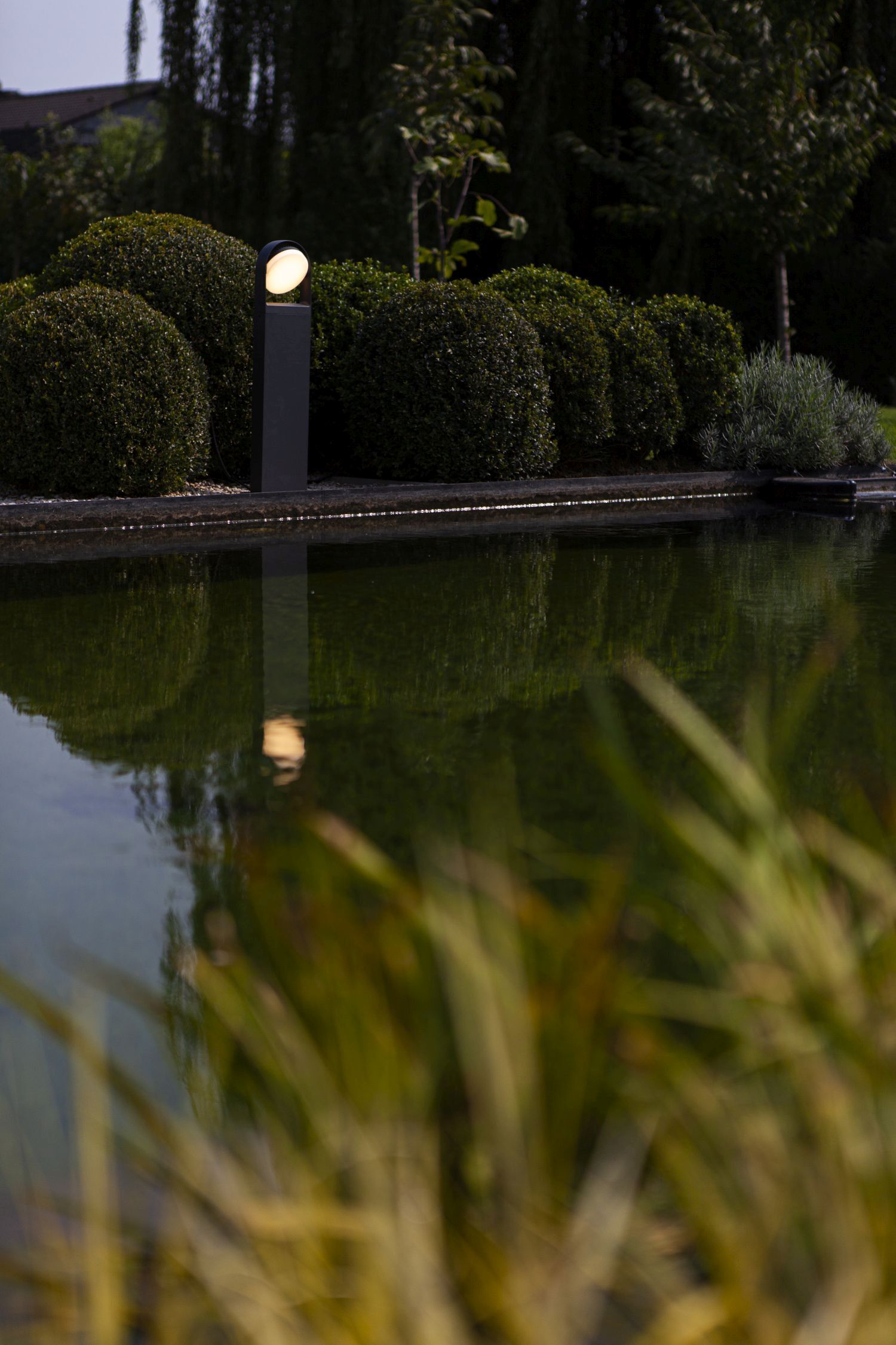 Natur, Draußen, Teich, Wasser, Hecke