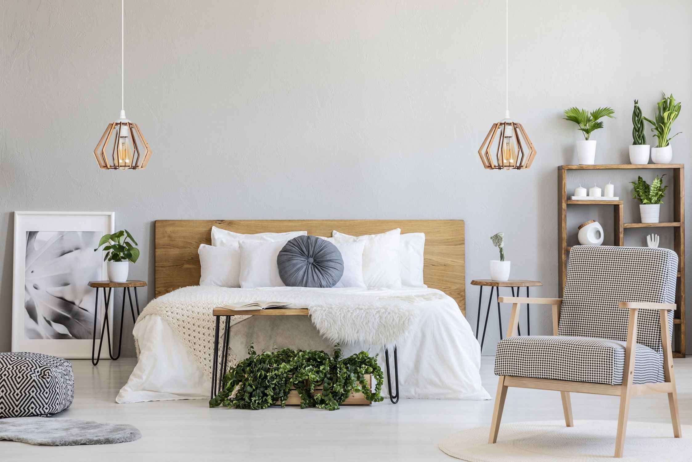 bett, kissen, sofa, pflanze, regal