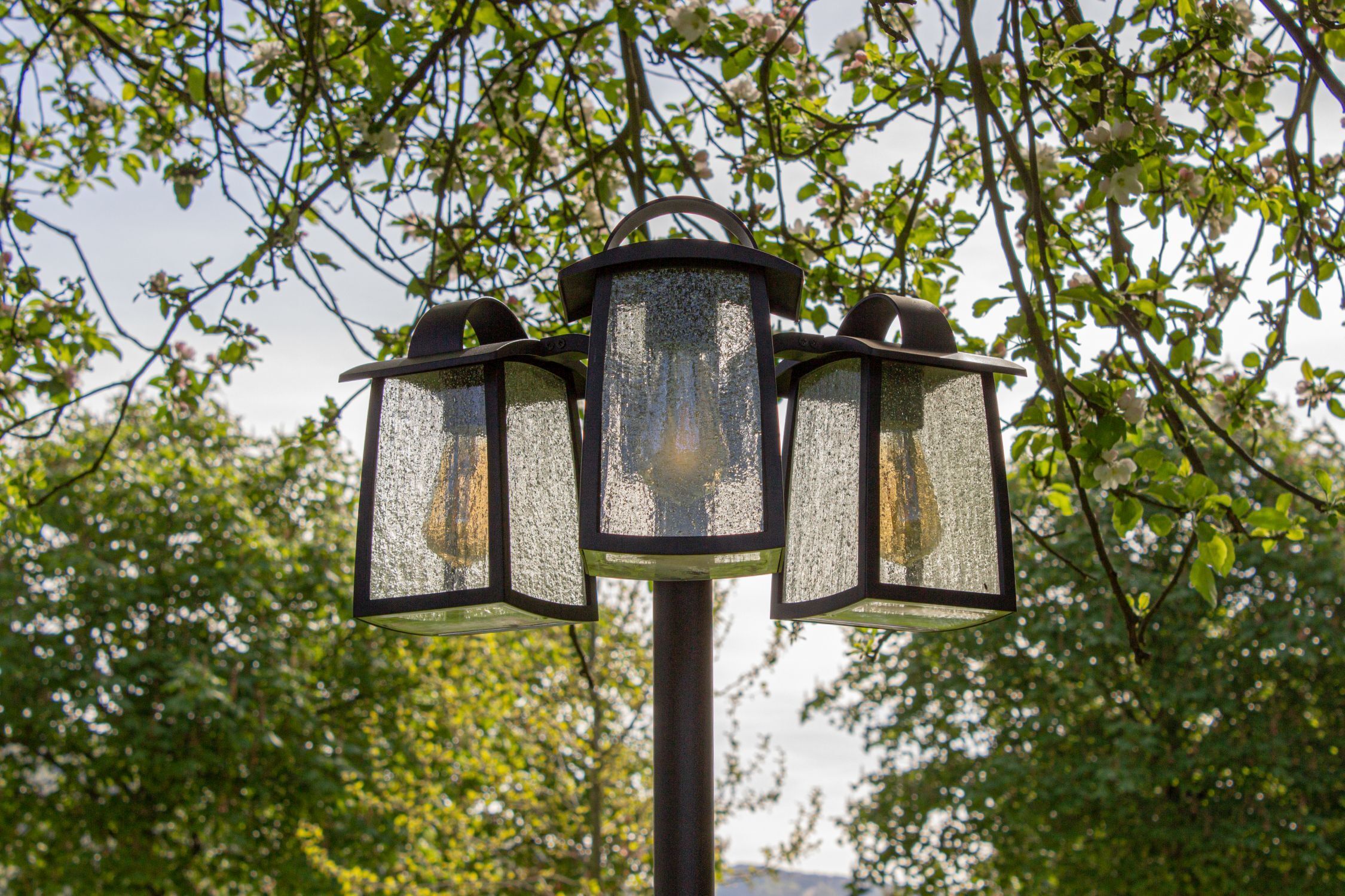 Lampe, Licht, Ampel