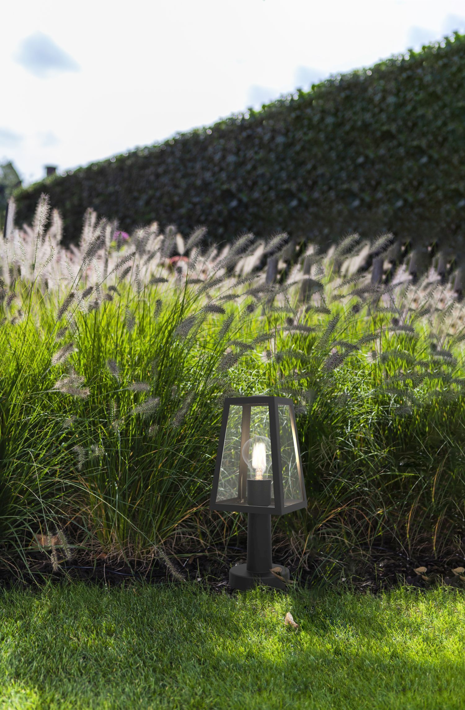Gras, Pflanze, Schilf, Lampe, Garten