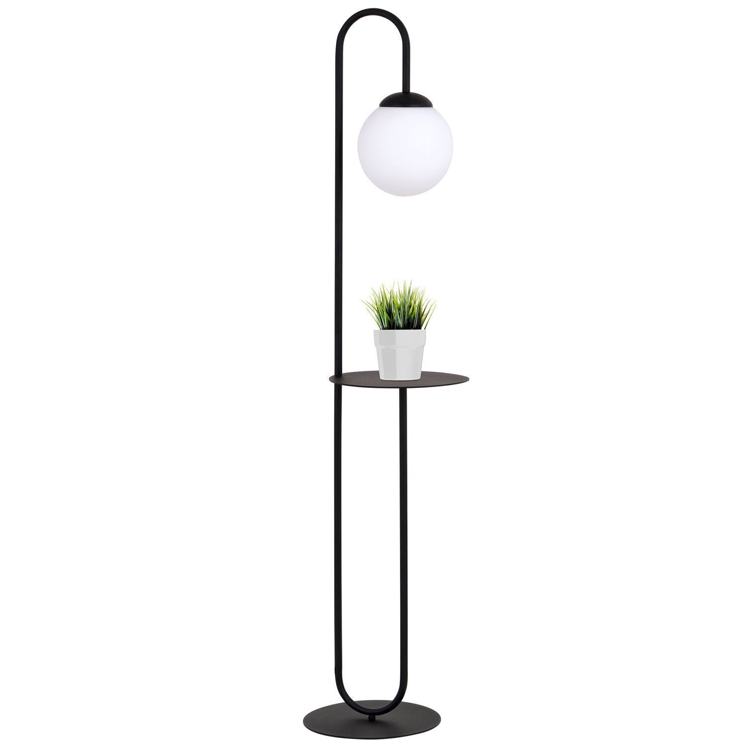 Lampe, Pflanze