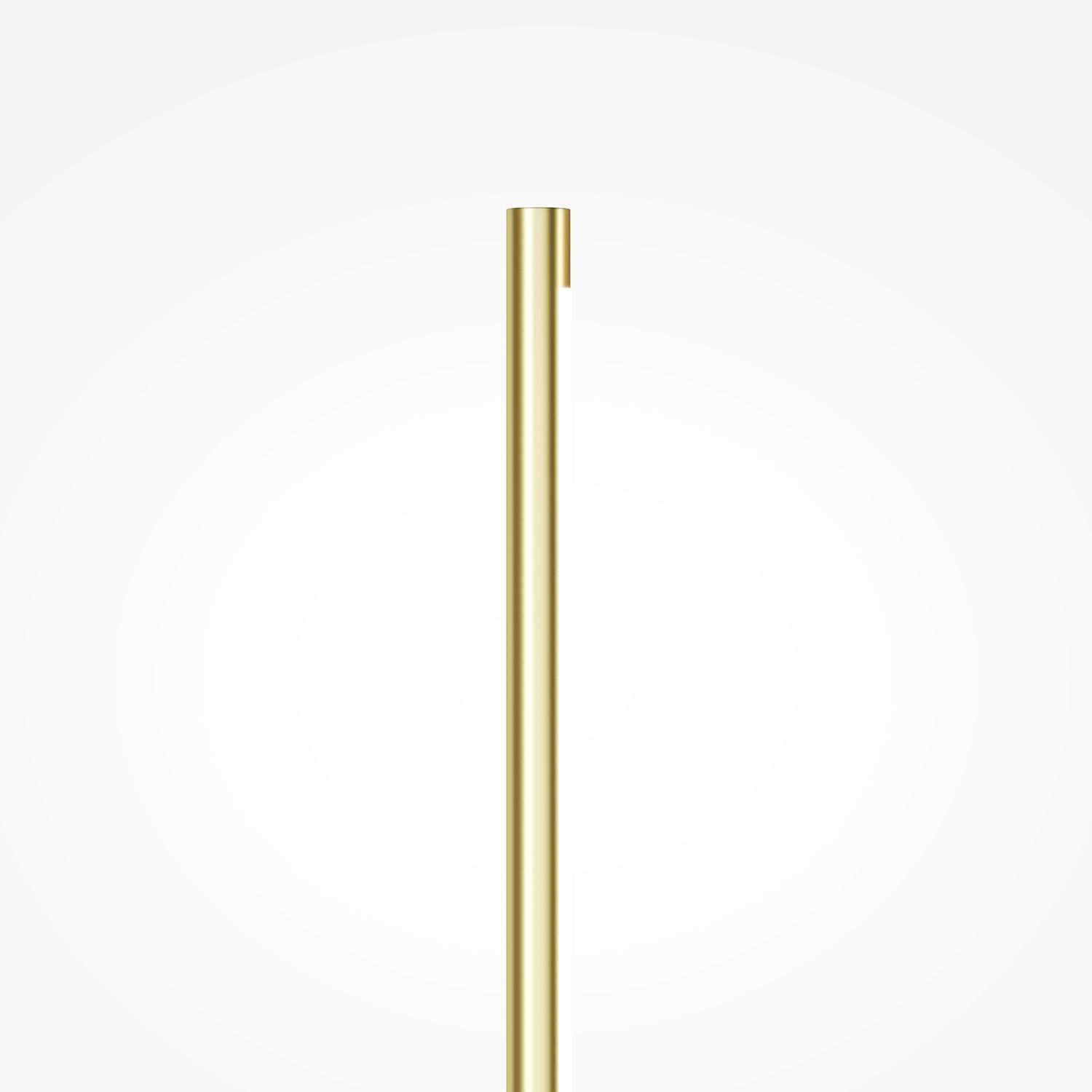 LED Wandlampe Metall 63 cm hoch länglich 170 lm Modern