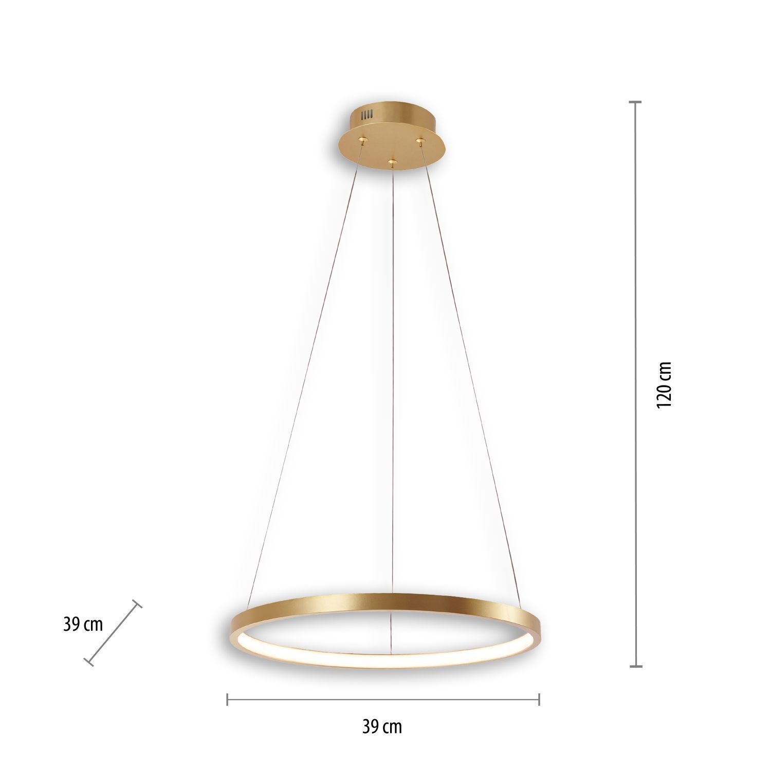 LED Hängelampe Ring in Gold Metall Ø39 cm 2450 lm 19 W