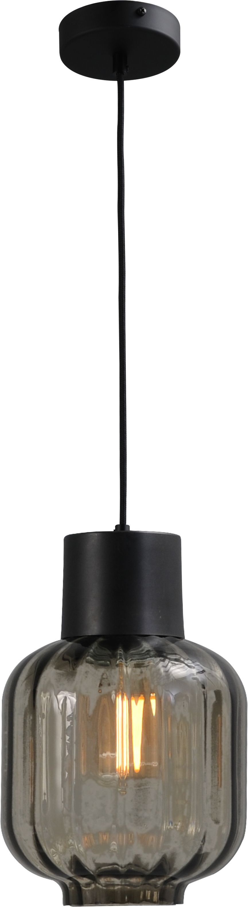 Hängelampe Schwarz Glas Metall E27 verstellbar ELYA