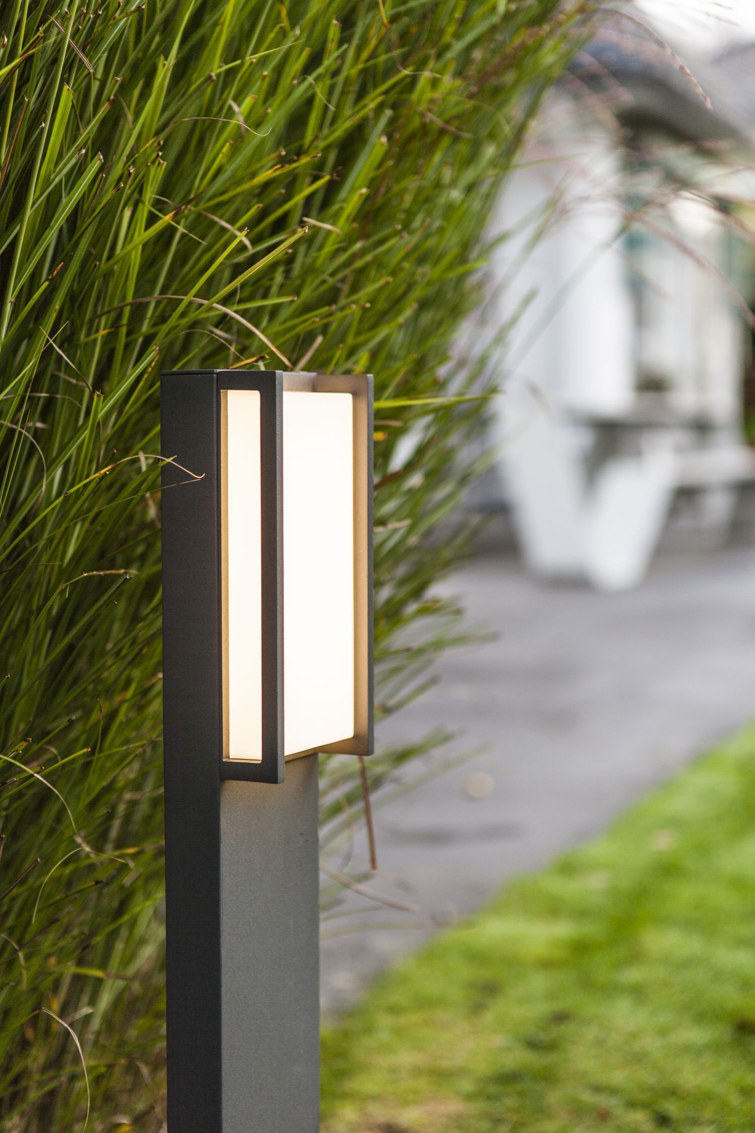 Gras, Pflanze, Lampe, Postfach