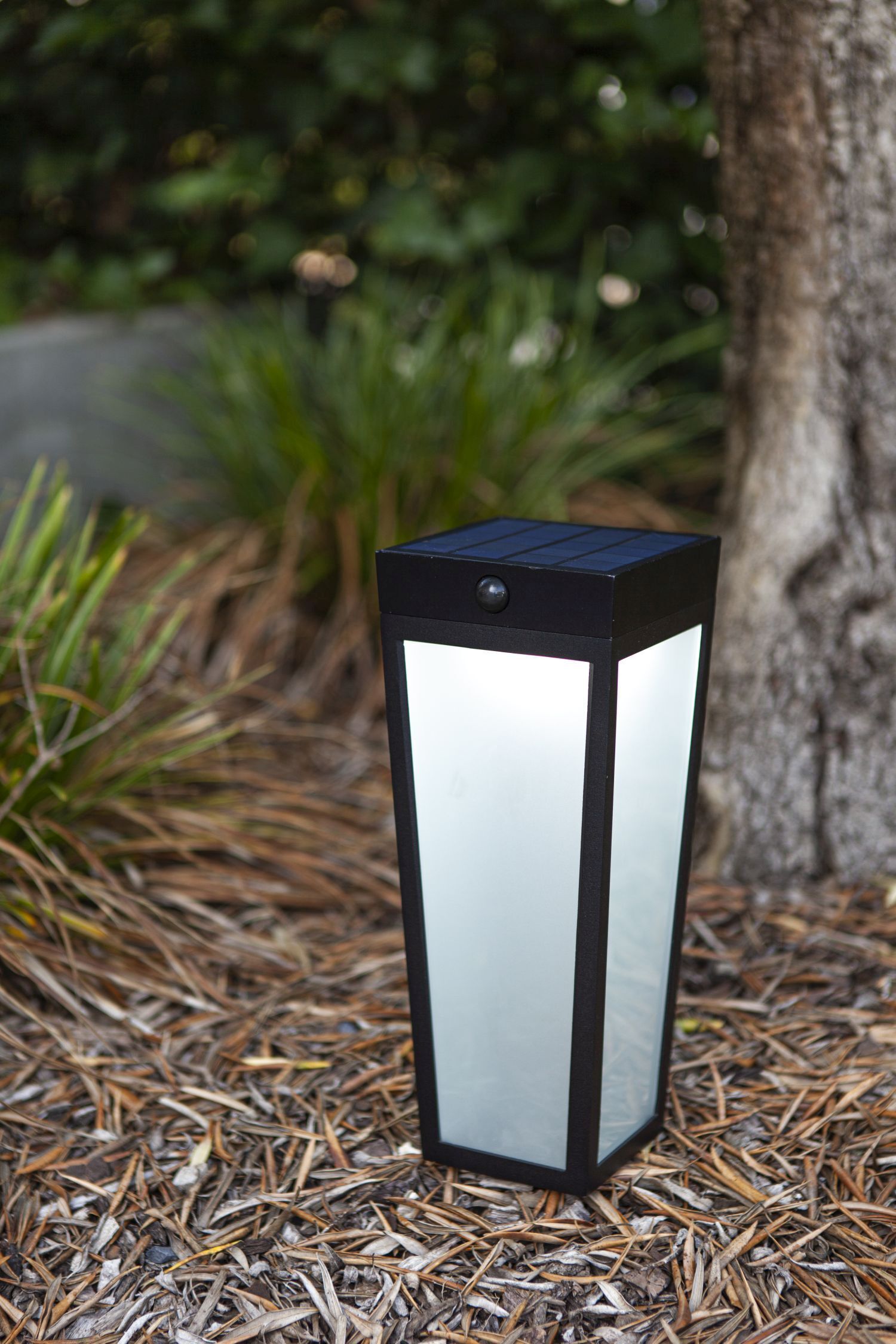 LED Solar Erdspießstrahler IP44 RGB Bewegungsmelder Lampe