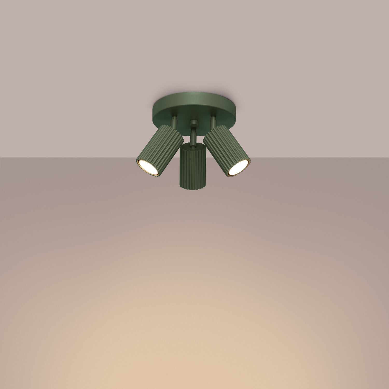 Deckenleuchte, Leuchte