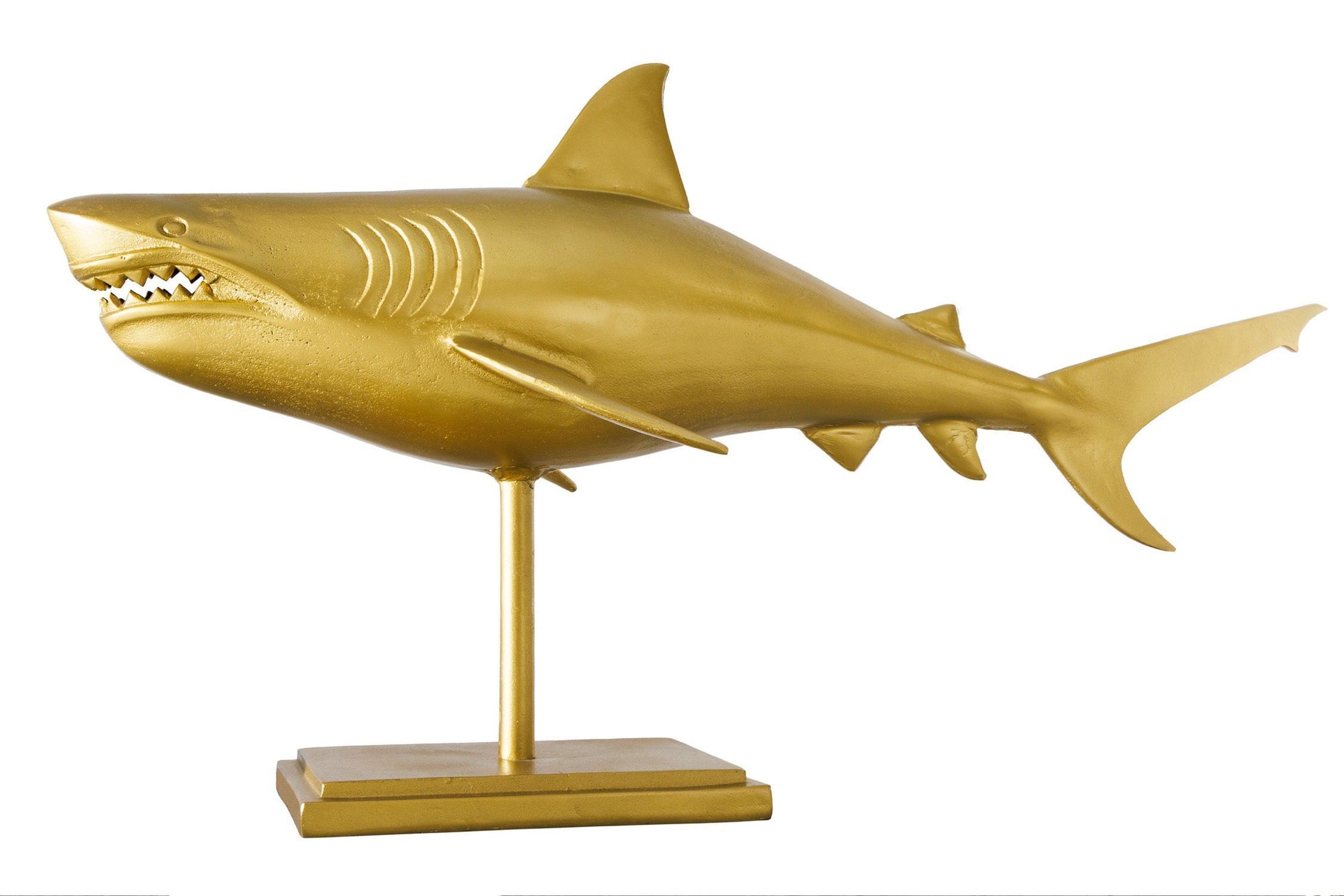 Tier, Fische, Leben im Meer, Hai