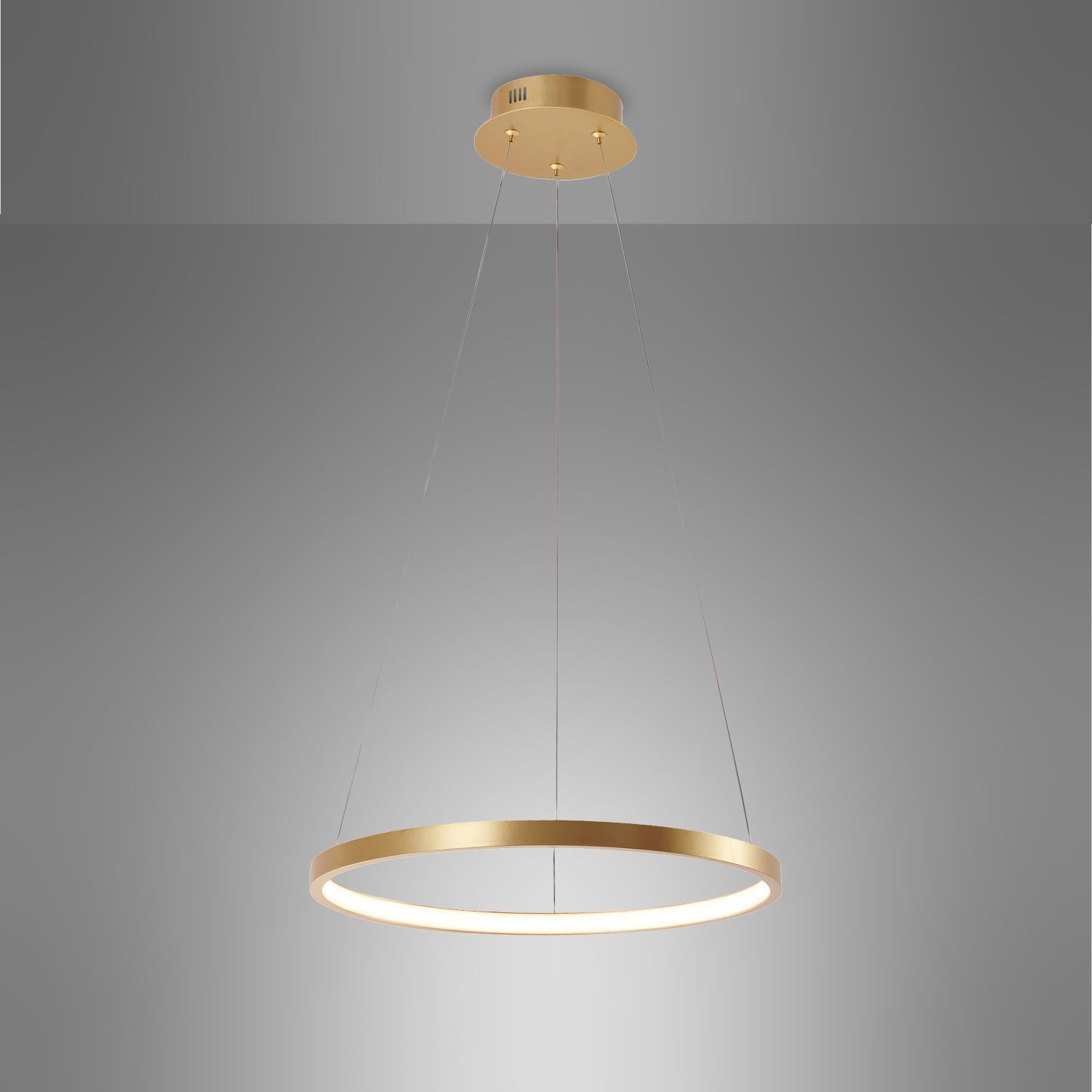LED Hängelampe Ring in Gold Metall Ø39 cm 2450 lm 19 W