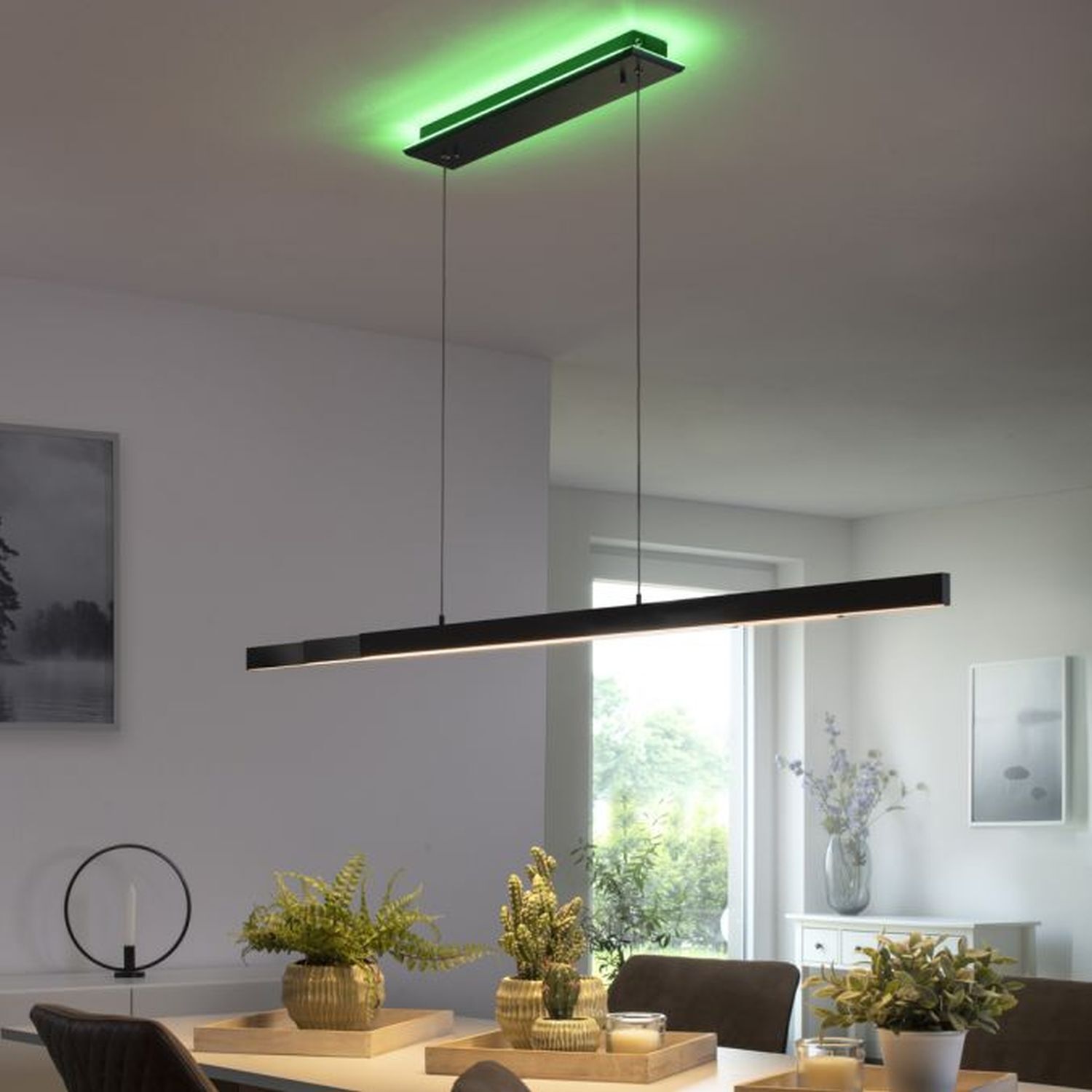 LED Hängelampe RGB Farbtemperaturwechsel 179 cm dimmbar Deckenleuchte, Pflanze, Leuchte