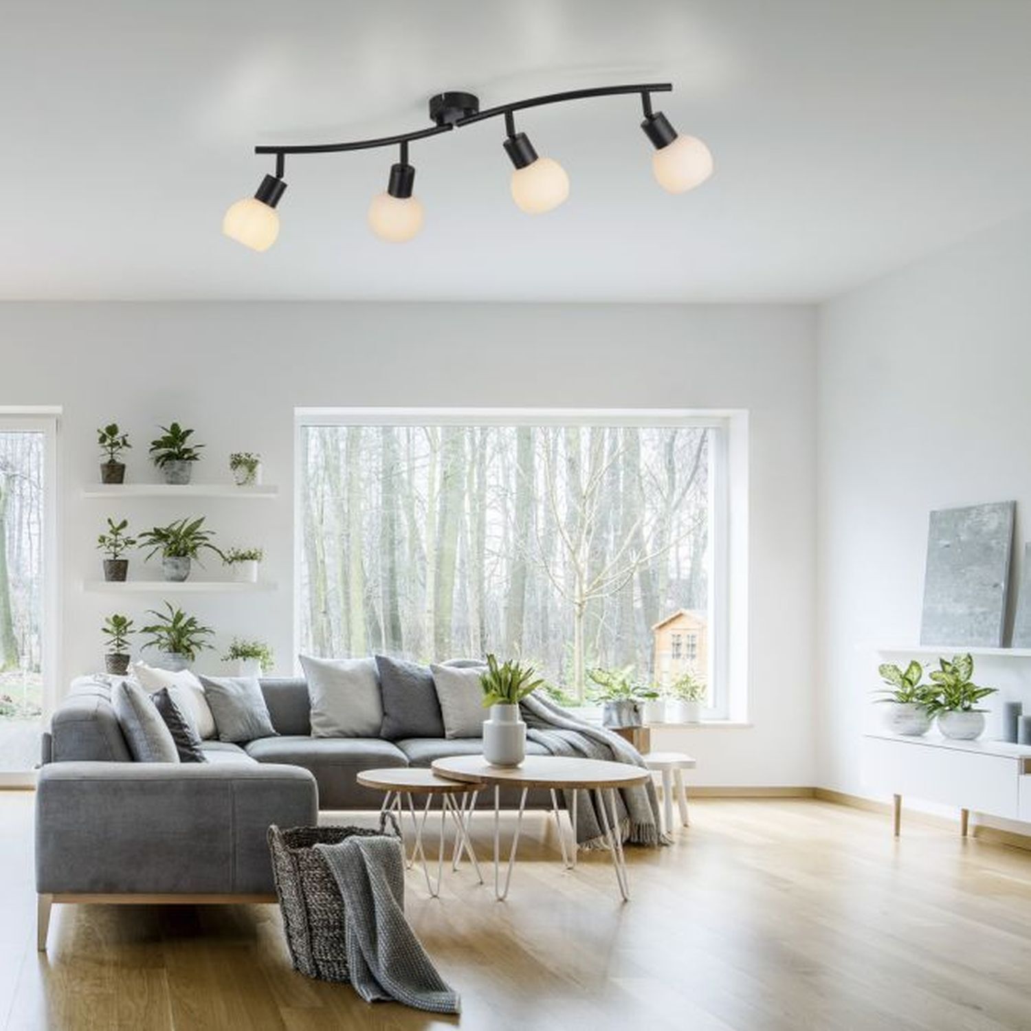 Dekoration für Zuhause, Pflanze