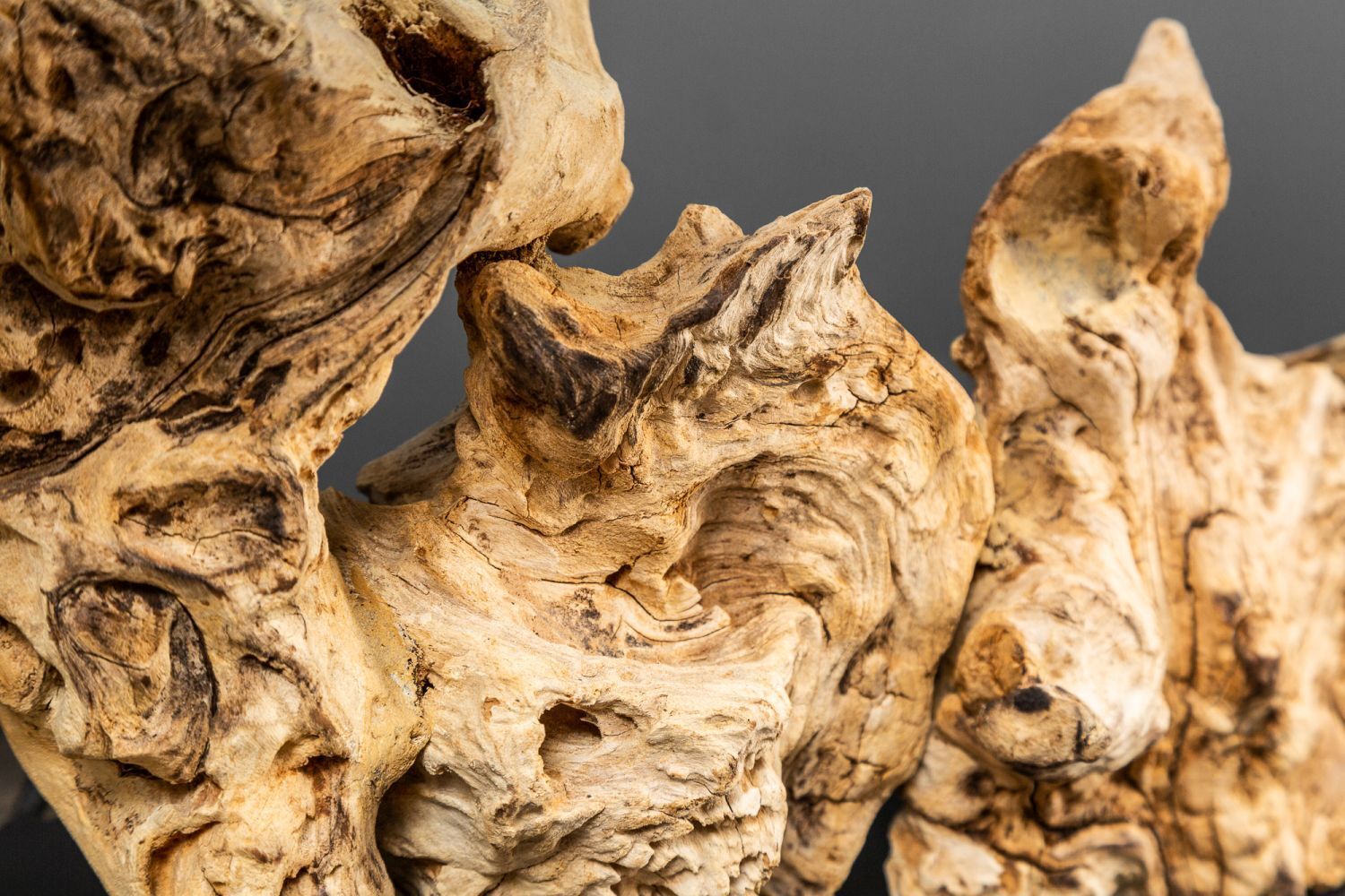 Treibholz Tischlampe PECIOS Modern Design Unikat Holz