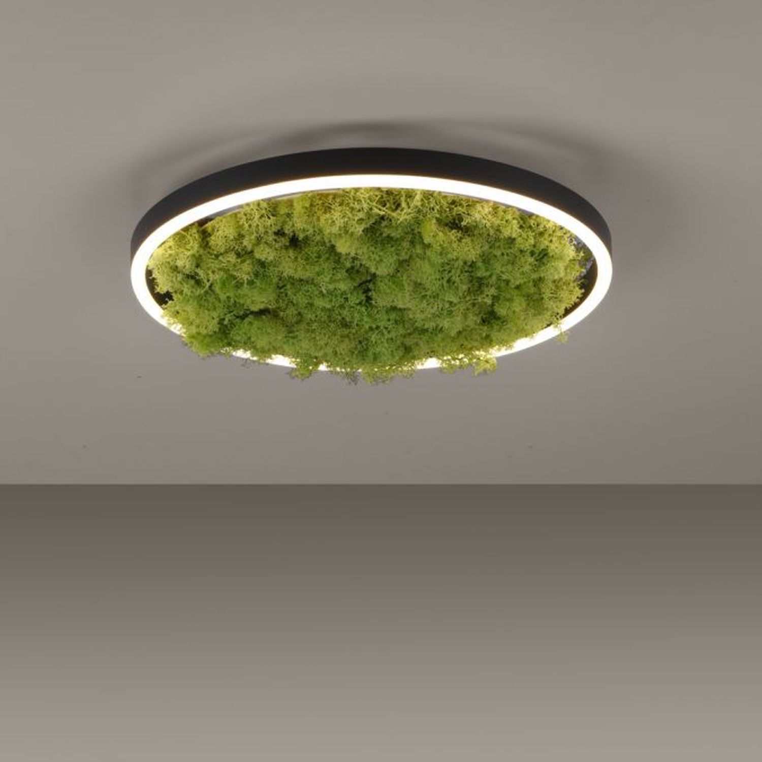 LED Deckenlampe Moos Schwarz 3000 K 2650 lm dimmbar