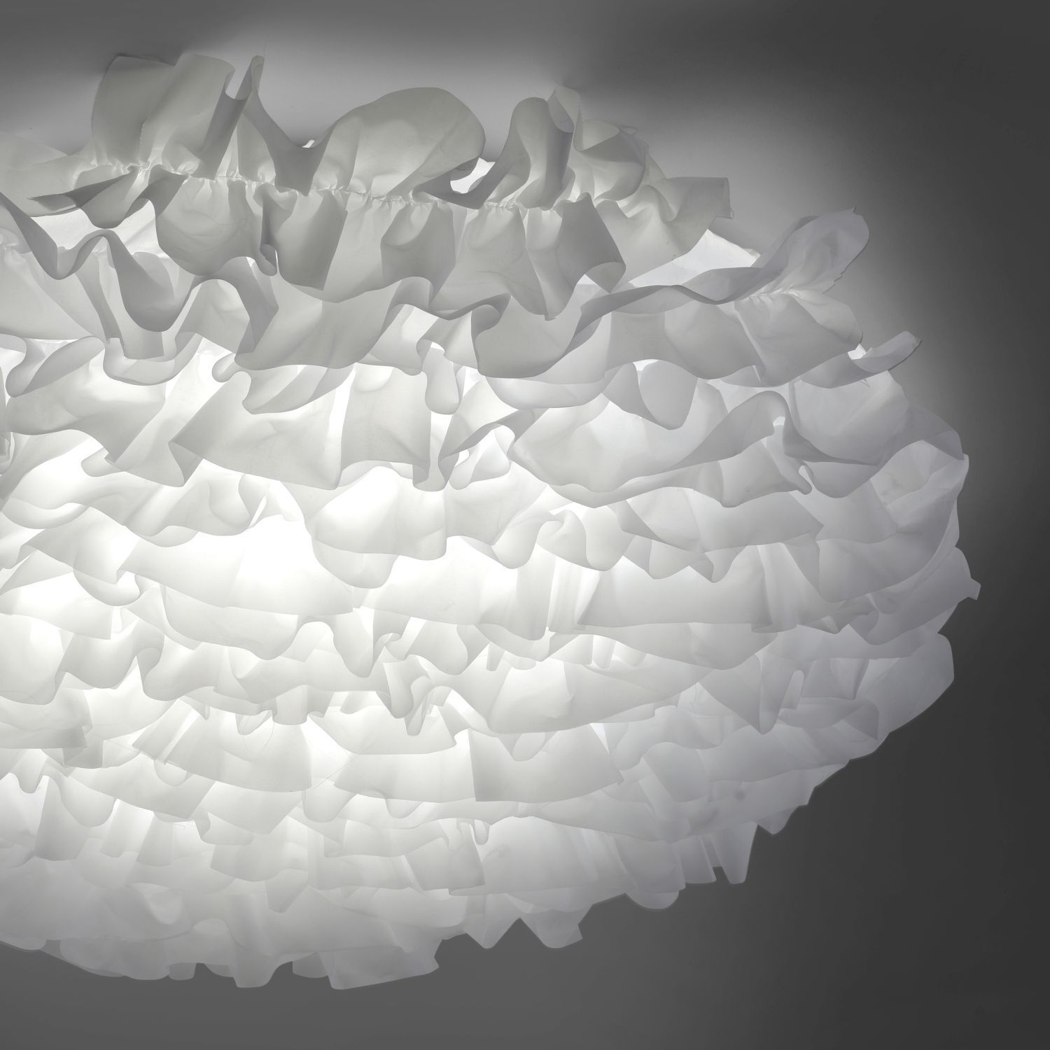 Lampe, Blume, Pflanze, Rose